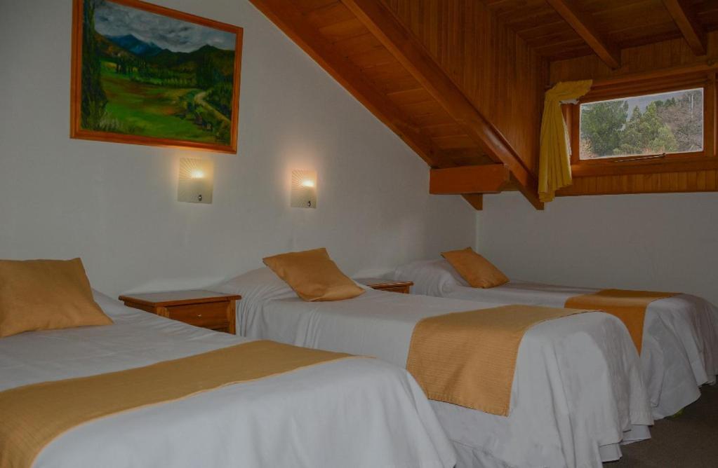 Apart Hotel Del Pellin San Martín de los Andes Exterior foto